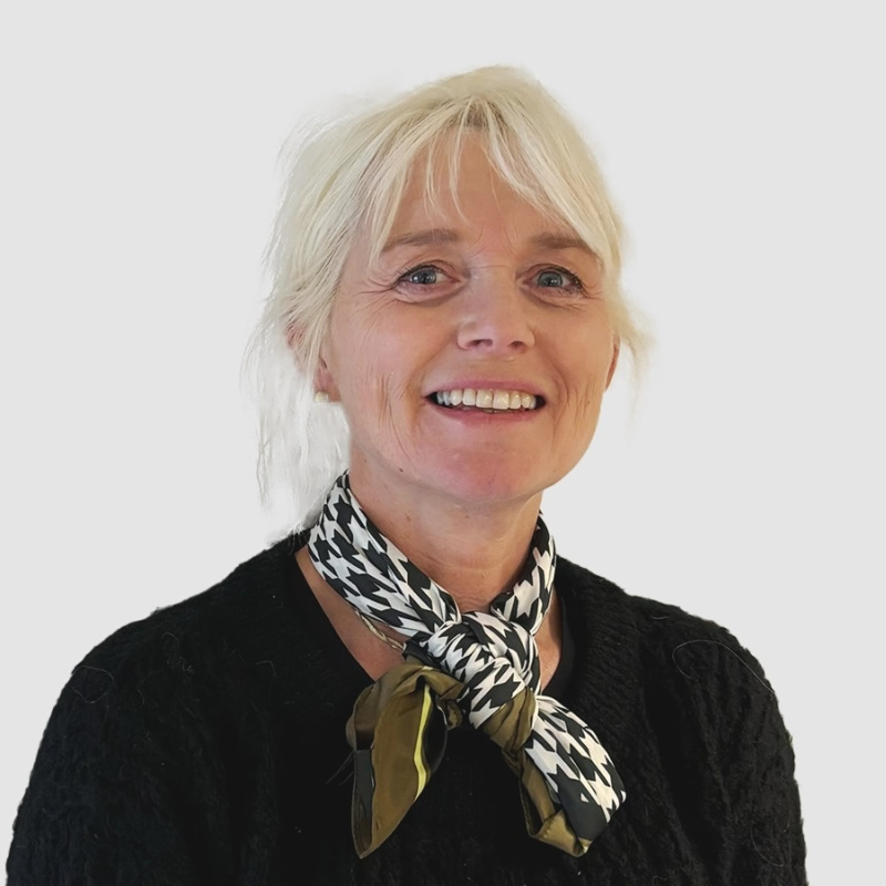 Elin Tennefoss Fiske - Origod
